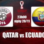 Soi kèo Qatar vs Ecuador WC 2022